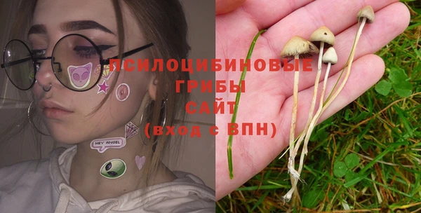 а пвп мука Медногорск