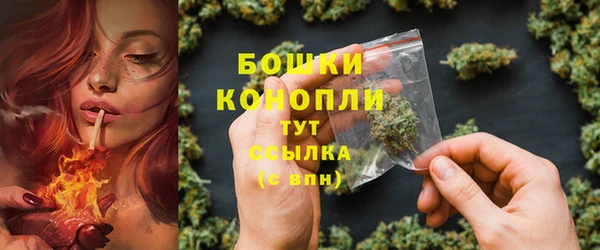 МДПВ Мегион