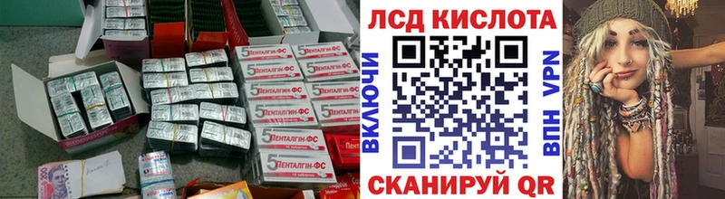 как найти Дубовка ЛСД экстази ecstasy